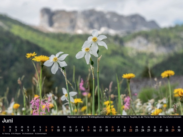 kalender`25 mc print08